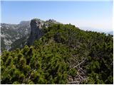 Planina Dol - Rzenik